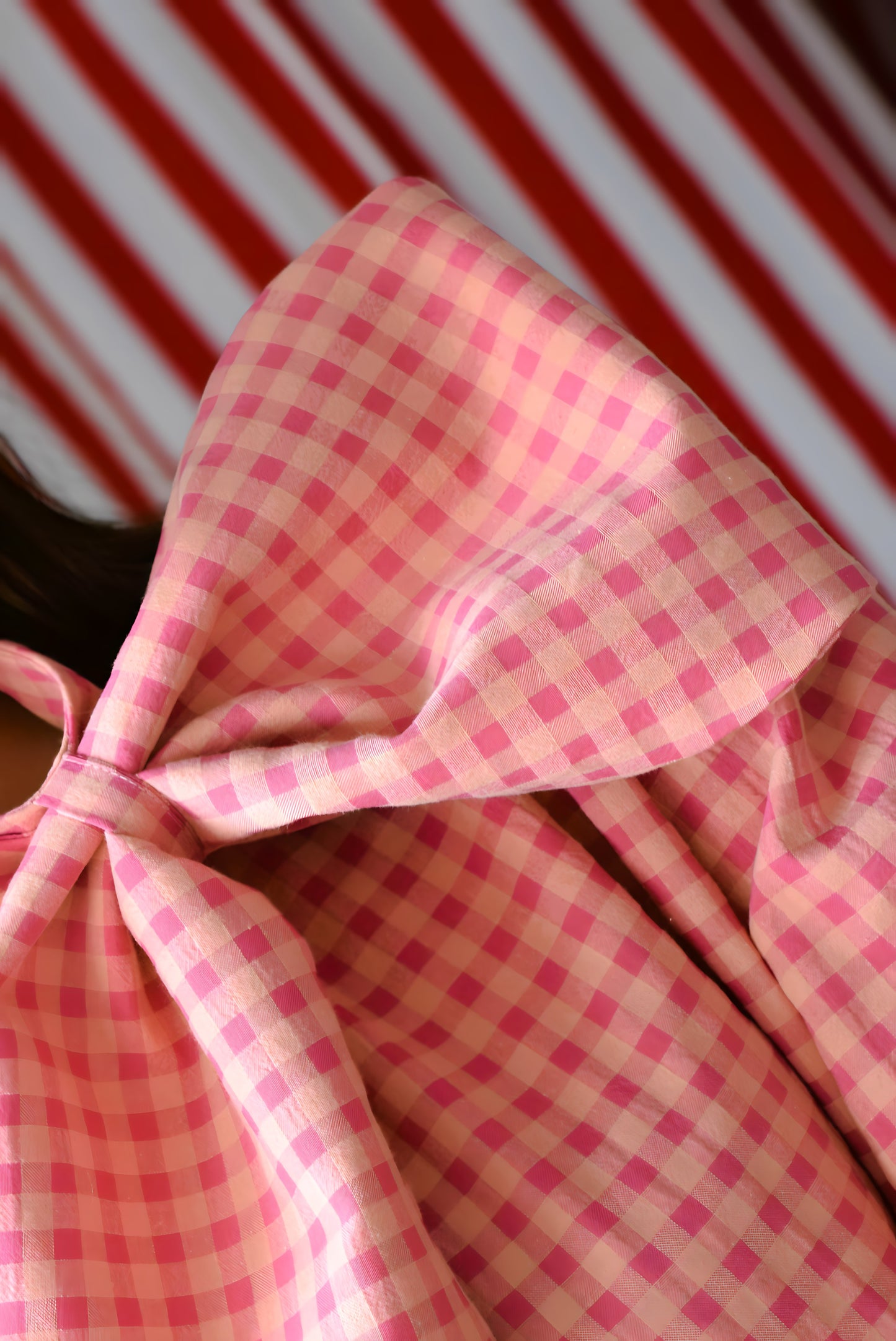 BLUSA RAFAELA - VICHY ROSA -